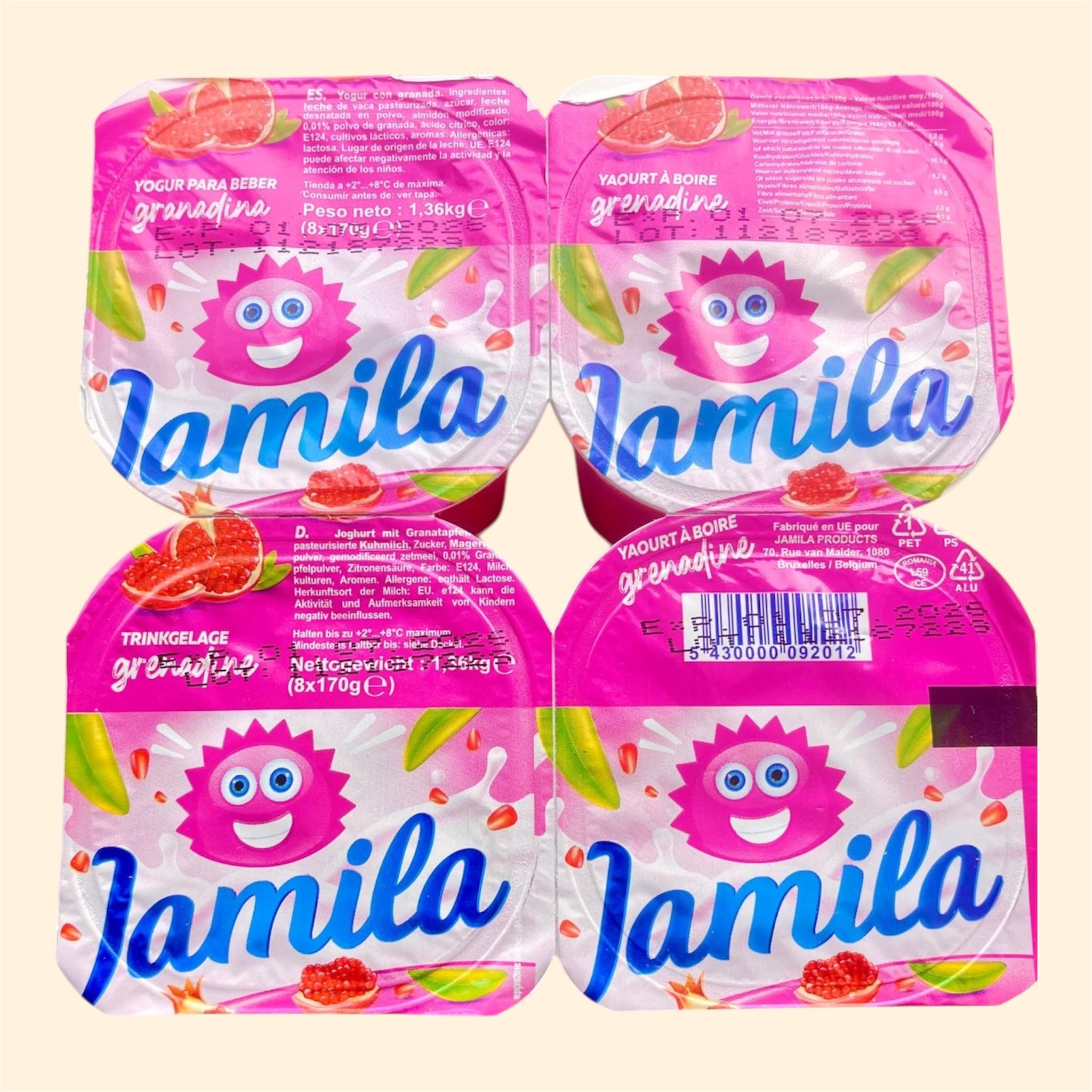 170g x 4 Pack Raibi Jamila Grenadine